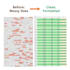 do fast and accurate data entry in excel and google sheets