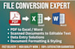professional data entry and fast copy paste work