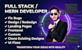do website development as mern stack developer