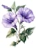 draw botanical food illustration art