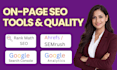 do advanced wordpress and shopify on page SEO with technical audit
