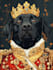 draw digital scribble pet portrait