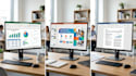do professional ms office work including word, excel, and powerpoint