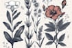illustrate custom flower line art illustration