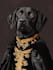 draw minimalist pet line art portrait