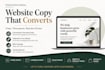 write website copy that converts visitors into customers