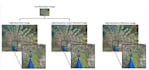 do matlab programming, simulink, image processing projects