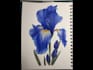 teach you how to paint