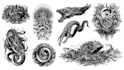 create custom tattoo design
