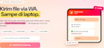 build whatsapp bot and automation for your business