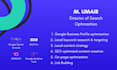 build a professional website with SEO and graphic design