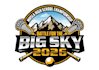 design awesome lacrosse logo