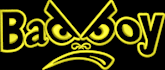 embroidery digitizing, logo, digitize image for embroidery patch design