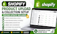 upload shopify products, create collections, and update pricing professio