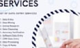 do professional copywriting and accurate data entry