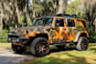 professional van wrap, vehicle wrap,