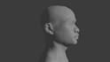 do 3d modeling, sculpting, and texturing in blender