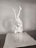 provide professional 3d printing services with bambu lab a1
