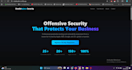 conduct a professional web application penetration test for your website