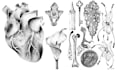 create a hand drawn pointillism illustration