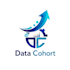 do web development, data analytics and ml projects quickly