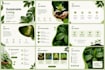 design modern professional powerpoint presentation slides