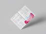 create a magazine or catalog