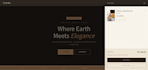 design and develop a custom shopify store with liquid theme