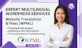 wpml wordpress website translation, fix issues multilingual SEO polylang cms pdf