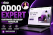 design odoo website, odoo ecommerce, odoo customization odoo seo, odoo developer