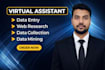 provide accurate data processing and web research services
