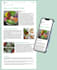 seo blog posts for health and wellness brands