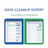 do fast and accurate excel data entry and data cleanup