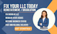 reinstate or dissolve your US llc and fix compliance issues
