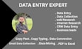 do data entry, data scraping and crm data entry copy paste