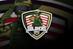 do amazing attractive veteran logo