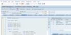 develop custom sap abap reports and alv reports