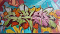 create graffiti pop art canvas designs and murals