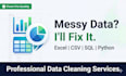 clean and organize your excel or CSV data