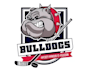 create professional and specially bulldog logo design