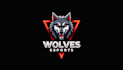 design outstanding wolf head mascot logo with express delivery