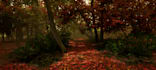 create 3d models, environments, do texturing etc