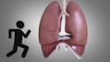 do 3d medical anatomy animation for student projects, presentations and research