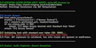 perform a manual security logic audit of your backend