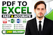 convert PDF to excel manually with accuracy