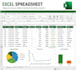 l do accurate excel data entry, data cleaning and copy paste