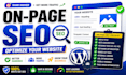 provide wordpress SEO services to rank higher on google