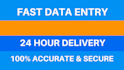 do fast and accurate data entry, ms word typing