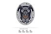 do modern high quality professional cat logo