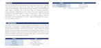 write professional engineering and technical reports